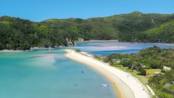 Ein malerischer Küstenabschnitt mit Strand und grünen Hügeln in der Nähe vom Heretaunga College.
