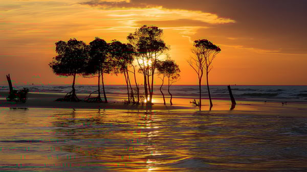 Ein ruhiger Sonnenuntergang mit Baumsilhouetten am Wasser, aufgenommen in der Nähe der Hervey Bay State High School.