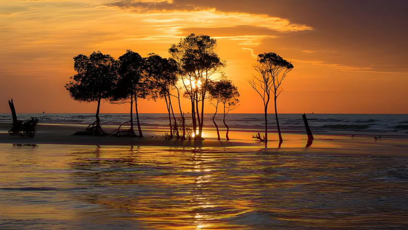 Ein ruhiger Sonnenuntergang mit Baumsilhouetten am Wasser, aufgenommen in der Nähe der Hervey Bay State High School.