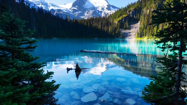 Der alpine See mit schneebedeckten Bergen und grünem Wald vor der H.J. Cambie Secondary School.