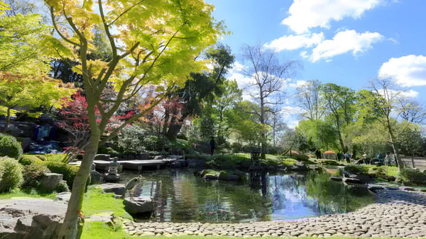 Der ruhige Garten mit Teich und üppigem Grün auf dem Gelände der Holland Park State High School.