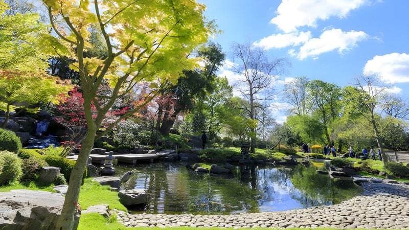 Der ruhige Garten mit Teich und üppigem Grün auf dem Gelände der Holland Park State High School.
