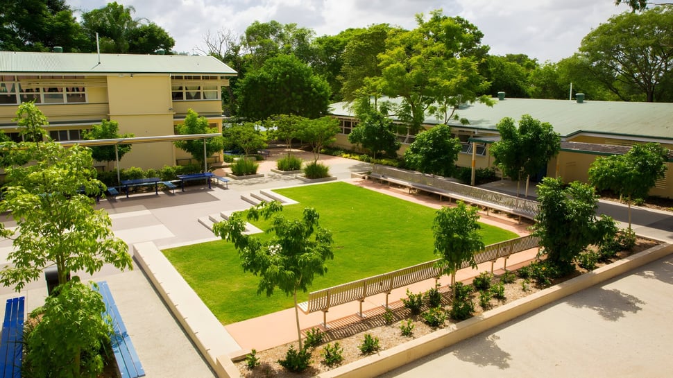 Die Grünanlage auf dem Campus der Holland Park State High School zeigt gepflegten Rasen und umgebende Bepflanzung mit einem Gebäude im Hintergrund.