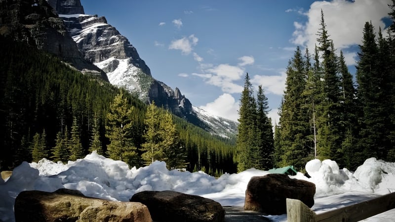 Verschneite Berglandschaft mit Felsen und einem dichten Nadelwald in der Nähe der Holy Cross Catholic Secondary School.