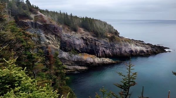 Blick auf die felsige Küste und den Wald am Wasser nahe der Holy Spirit High School.