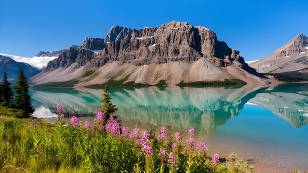 Ein türkisfarbener See vor schneebedeckten Bergen und Wildblumen in der Natur nahe der Holy Trinity Catholic High School.