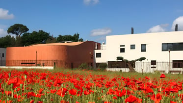 International Bilingual School of Provence