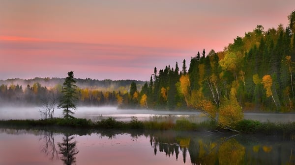 Ein ruhiger See mit herbstlichem Laub und einem nebligen Wald spiegelt sich in den Gewässern nahe der Iroquois Ridge High School.
