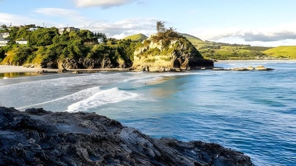 Die Küstenlandschaft am Meer mit Klippen und Vegetation in der Umgebung von Kaikorai Valley College.