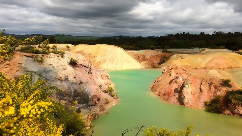 Ein Landschaftsbild mit gelben Wildblumen vor bunten Felsen und einem türkisfarbenen See zeigt die Natur um die Kapunda High School.