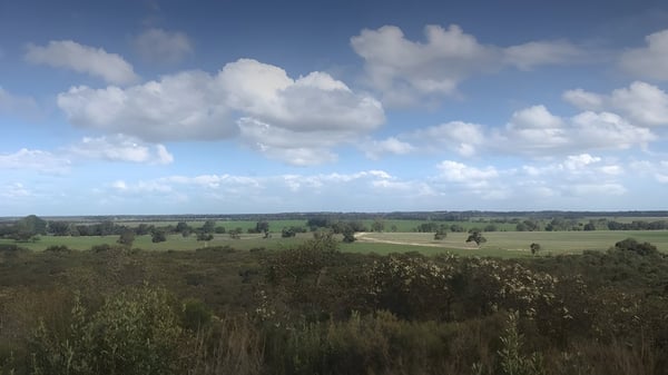 Eine weite, grüne Landschaft mit sanften Hügeln und vereinzelten Bäumen hinter dem Campus der Keith Area School.