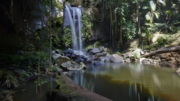 Ein Wasserfall fließt in einen ruhigen Teich in einer naturnahen Umgebung nahe der Kenmore State High School.