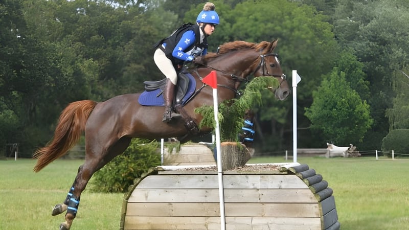Eine Person reitet auf einem braunen Pferd über ein Holzhindernis auf dem Gelände des Kent College.
