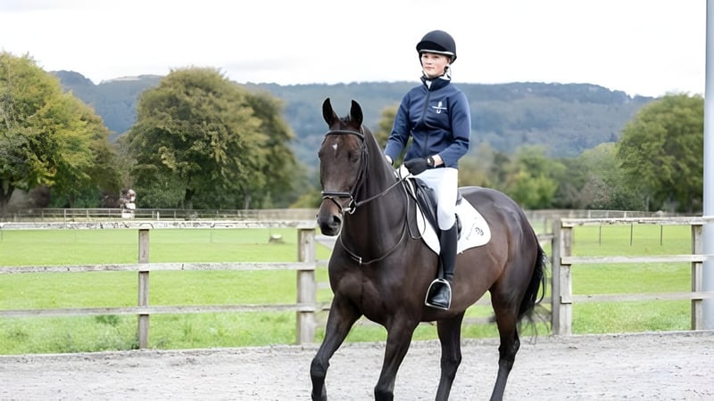 Eine Person in Reitbekleidung sitzt auf einem braunen Pferd auf dem Gelände der Kilgraston School.