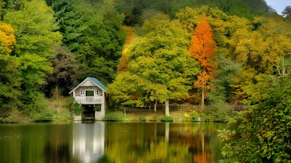 Eine kleine Holzhütte liegt neben einem ruhigen Teich auf dem Gelände der King Edward's Witley School im herbstlichen Farbenkleid.