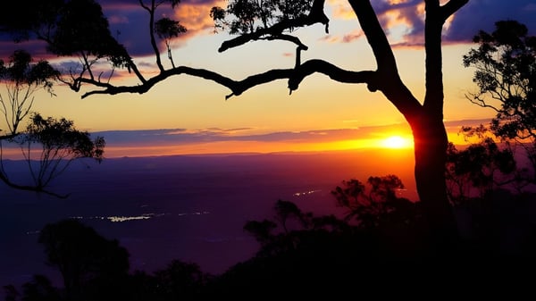 Ein Sonnenuntergang über einer bergigen Landschaft mit Bäumen im Vordergrund auf dem Gelände der Kingaroy State High School.