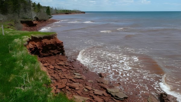 Eine felsige Küstenlinie mit Brandung vor einem bewaldeten Hintergrund nahe der Kinkora Regional High School.