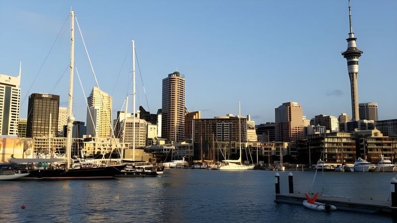 Blick auf den Hafen mit Segelbooten und der Skyline mit dem Auckland Sky Tower im Hintergrund vom Kuranui College aus.