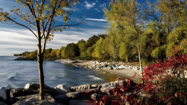Eine herbstliche Landschaft mit felsigem Ufer und buntem Laub vor dem Lambton Central Collegiate & Vocational School.