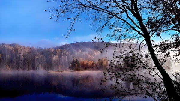 Ein ruhiger See, umgeben von Wald, zeigt eine friedliche Naturlandschaft nahe der LaSalle Community Comprehensive High School.