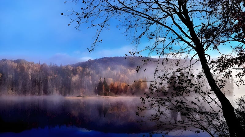 Ein ruhiger See, umgeben von Wald, zeigt eine friedliche Naturlandschaft nahe der LaSalle Community Comprehensive High School.