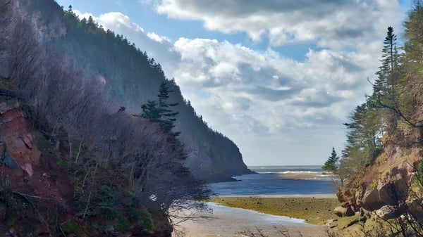 Eine felsige Küste mit Sandstrand und dichten Nadelwäldern unter bewölktem Himmel nahe der Leo Hayes High School.