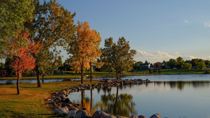Ein ruhiger See mit herbstlich buntem Laub und einer grasbewachsenen Uferzone auf dem Gelände der Lethbridge School Division.