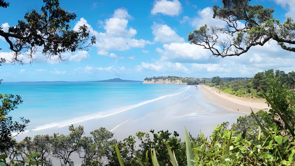 Ein weißer Sandstrand mit grüner Vegetation und Bergen ist in der Nähe des Long Bay College zu sehen.