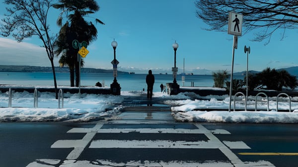 Ein verschneiter Fussgängerüberweg mit Palmen und Wasser im Hintergrund auf dem Gelände der Lord Byng Secondary School.