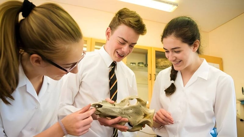 Drei Schüler des Lord Wandsworth College untersuchen in einem Biologiesaal einen Schädel.