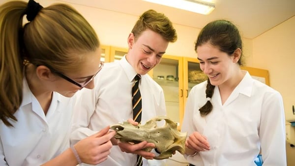 Drei Schülerinnen und Schüler des Lord Wandsworth College untersuchen im Biologieunterricht einen Schädel.