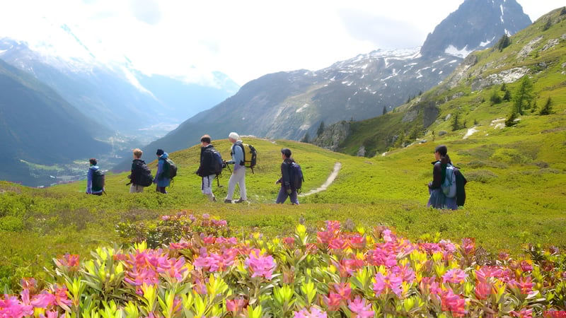 Eine Gruppe von Menschen in traditioneller Kleidung läuft auf einem Weg durch eine bergige Landschaft mit blühenden pinken Blumen auf dem Campus der Magna Academy.