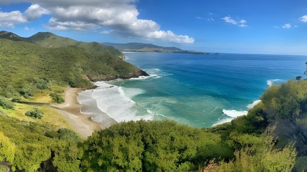 Eine Küstenlandschaft mit grüner Vegetation, Bergen und klarem Wasser in der Nähe von Mahurangi College.
