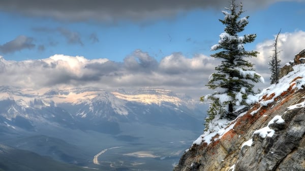 Ein schneebedeckter Kiefernbaum vor einer Berglandschaft mit dramatischen Wolken auf dem Gelände der Maple Ridge Secondary School in Ontario.