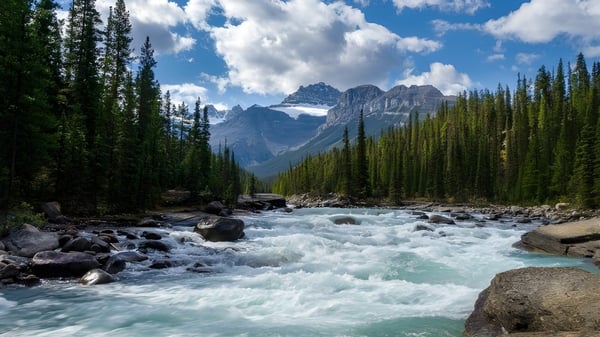 Ein Gebirgsbach fließt durch ein bewaldetes Tal mit schneebedeckten Gipfeln im Hintergrund auf dem Gelände der Marymount Academy.