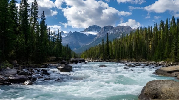 Eine Gebirgslandschaft mit einem rauschenden Bergbach und bewaldetem Tal nahe der Medicine Hat High School.