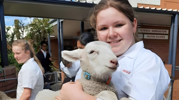 Eine Schülerin der Menai High School hält ein weißes Lamm vor einem Gebäude der tierärztlichen Klinik.