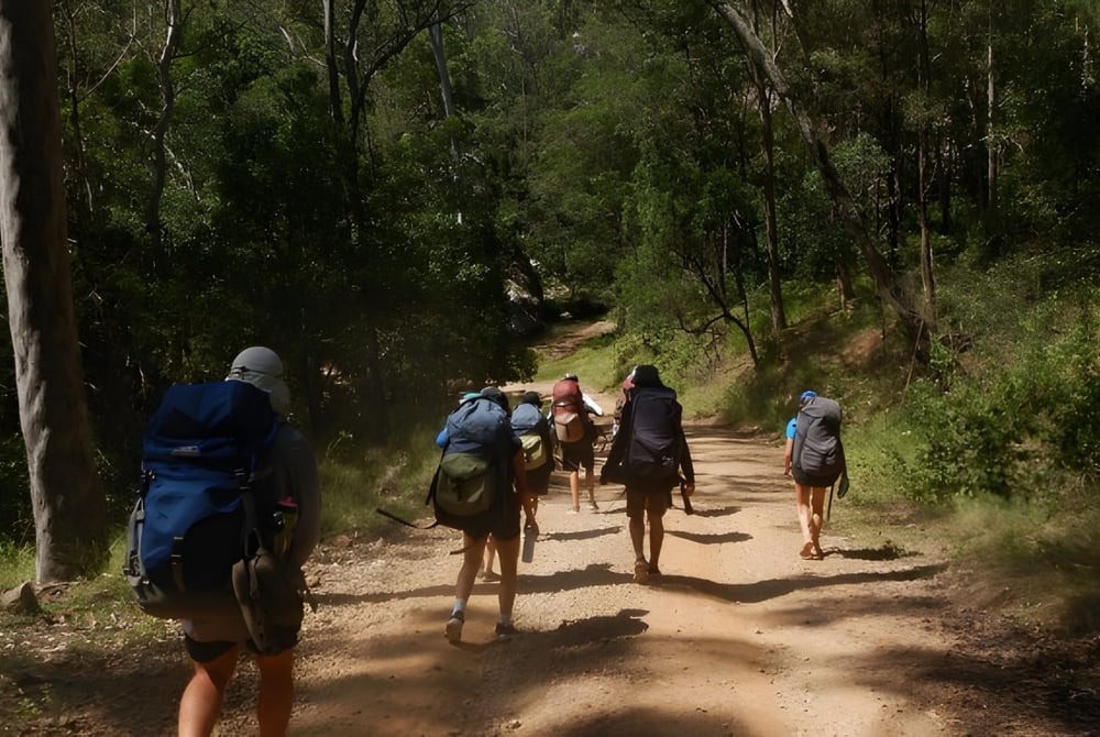 Schüler der Merrimac State High School gehen auf einem Waldweg durch dicht bewachsenes, grünes Waldgebiet.