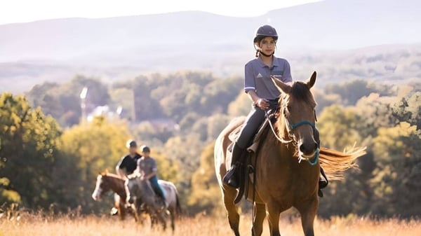 Eine Person reitet ein Pferd in einer bergigen Landschaft mit Wald auf dem Gelände der Miller School of Albemarle.