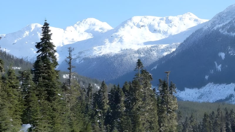 Schneebedeckte Berge hinter dichtem Nadelwald in der Umgebung der Mobile Central High.