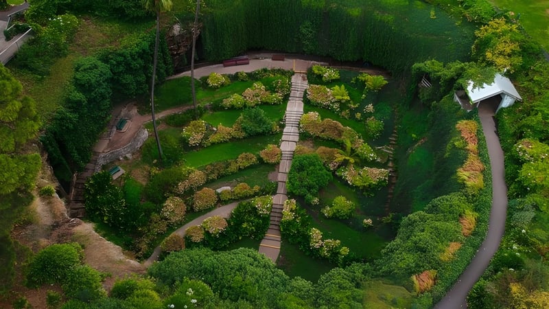 Eine hölzerne Brücke führt über eine Schlucht auf dem Gelände der Mount Gambier High School inmitten üppiger Vegetation.
