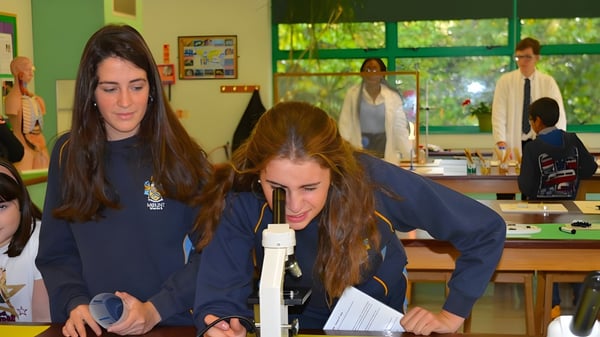 Eine Gruppe Schüler führt im Klassenraum des Mount St. Mary's College ein naturwissenschaftliches Experiment durch.