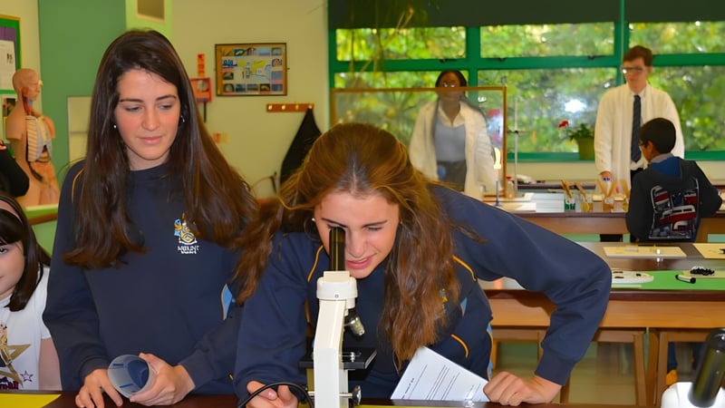 Eine Gruppe Schüler führt im Klassenraum des Mount St. Mary's College ein naturwissenschaftliches Experiment durch.