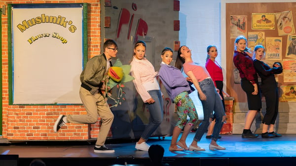 Eine Gruppe von Schülerinnen und Schülern steht in bunten Outfits auf der Bühne im Mullingar Community College vor einer Backsteinwand mit dem Schriftzug Musique.