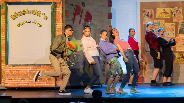 Eine Gruppe von Schülerinnen und Schülern steht in bunten Outfits auf der Bühne im Mullingar Community College vor einer Backsteinwand mit dem Schriftzug Musique.