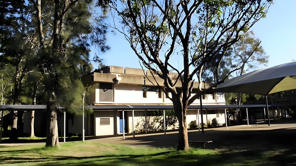 Das mehrstöckige Gebäude der Narrabeen Sports High School ist von viel Grün umgeben und zeigt einen gepflasterten Weg mit überdachtem Sitzbereich.