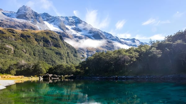 Ein ruhiger alpiner See mit schneebedeckten Bergen und grünen Pflanzen spiegelt sich in klaren Gewässern nahe dem Nayland College.