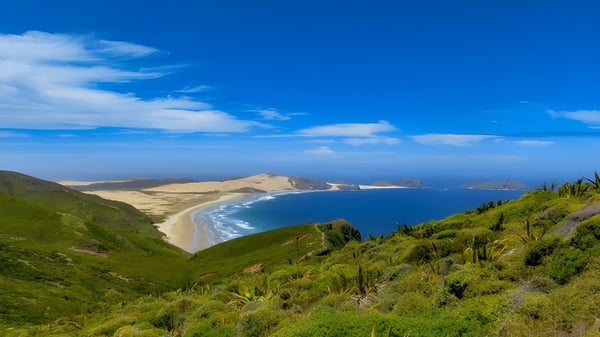 Blick auf die Küstenlandschaft in der Nähe von New Plymouth Girls’ High School mit grünen Hügeln und einem weiten Strand.