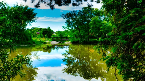 Ein ruhiger Weiher mit einer Holzbrücke und grüner Umgebung auf dem Campus der Newmarket High School.