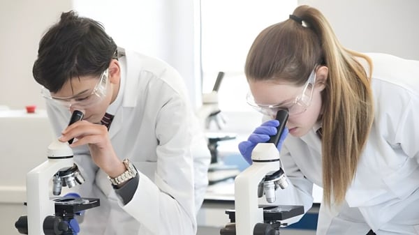 Zwei Schüler der North London Grammar School untersuchen im Labor etwas unter einem Mikroskop.